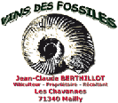 le vin des fossiles